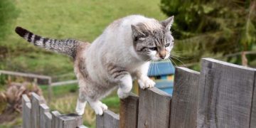 Mortage Rate Predictions for 2024