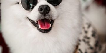 Bank Term Funding Program-Fed's Strategy Maintain Bank Liquidity Bank Term Funding Program