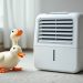 How a Dehumidifier Works how a dehumidifier works